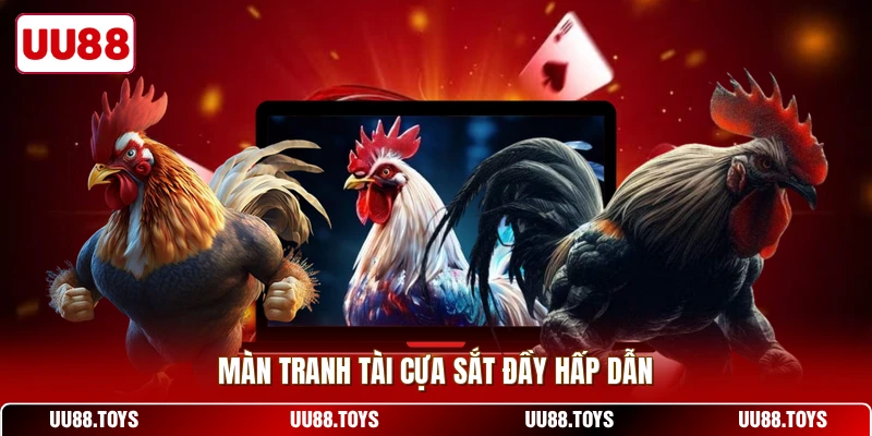 Màn tranh tài cựa sắt đầy hấp dẫn